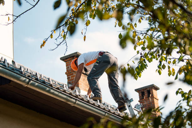 Quick and Trustworthy Emergency Roof Repair Services in Mclean, TX